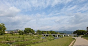 Thumbnail of post image 041